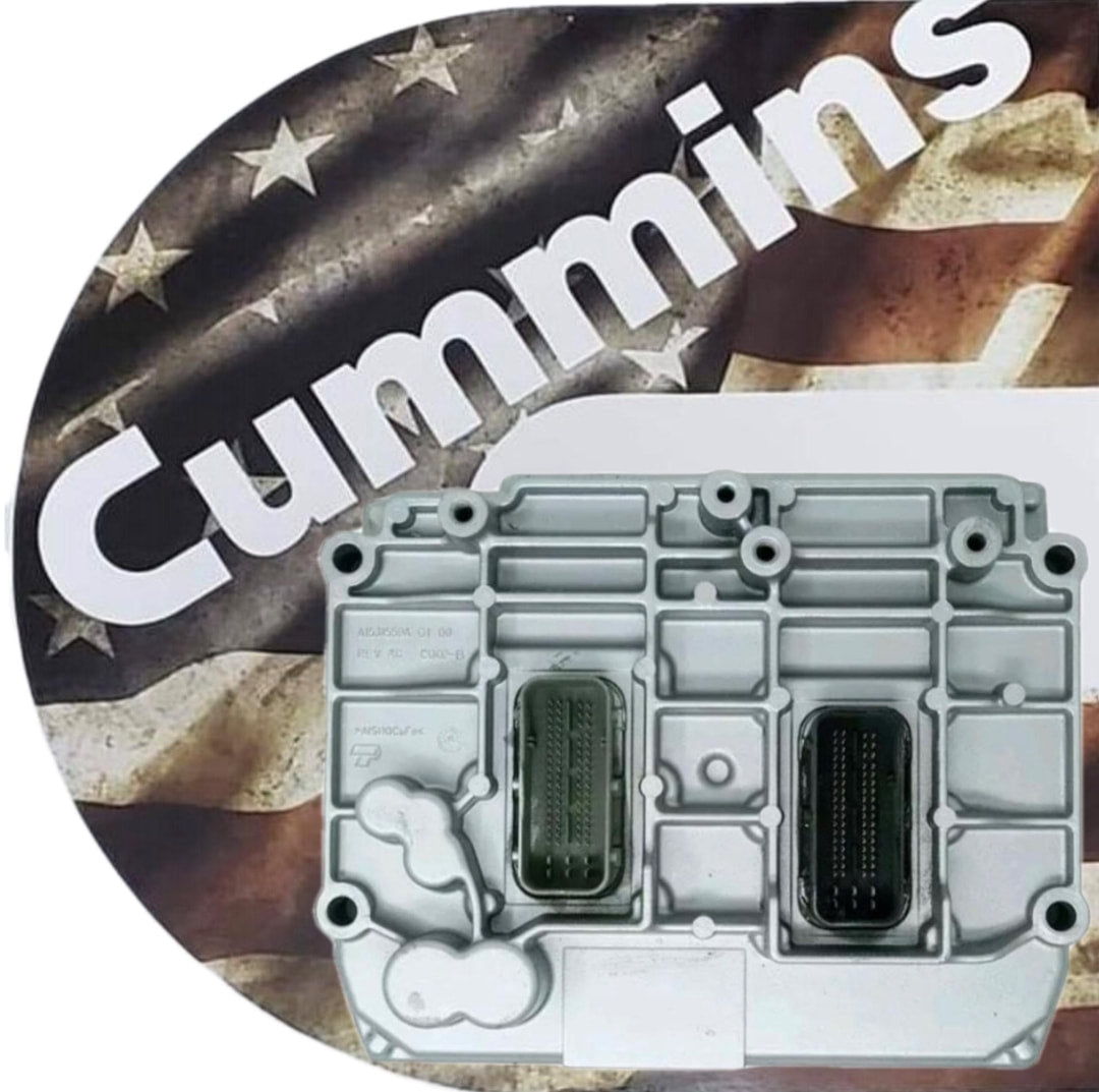 2010 Cummins ECM
